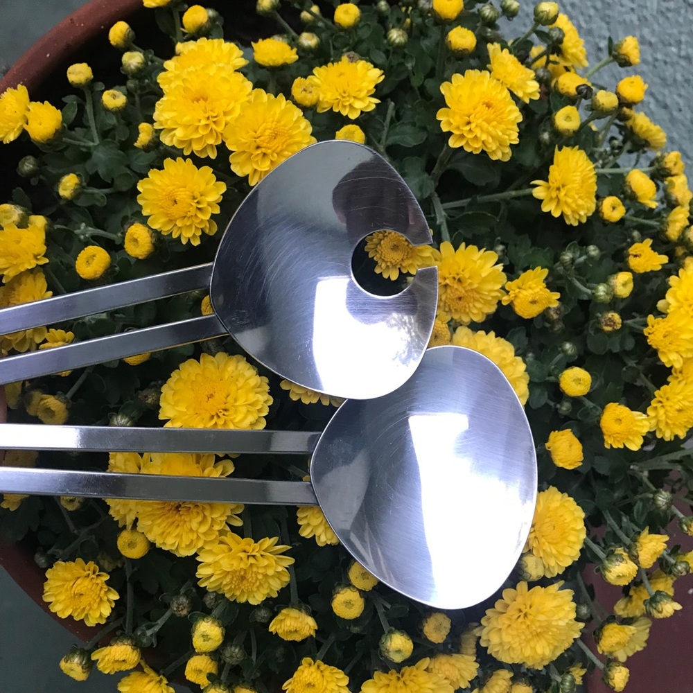 CARLO GIANNINI Serving spoons MADE IN ITALY